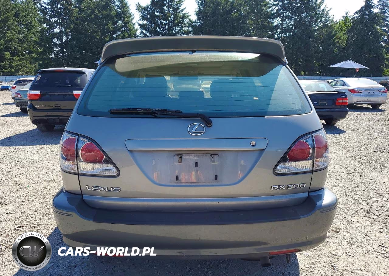 2002 Lexus Rx 300 VIN:JTJHF10U020290105 - 6