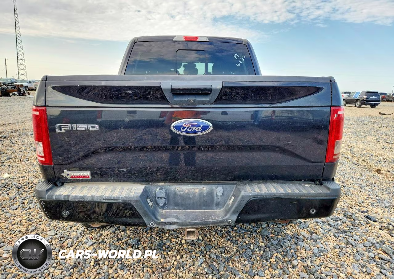 2015 Ford F150 Supercrew VIN:1FTEW1CP8FKE20721 - 6