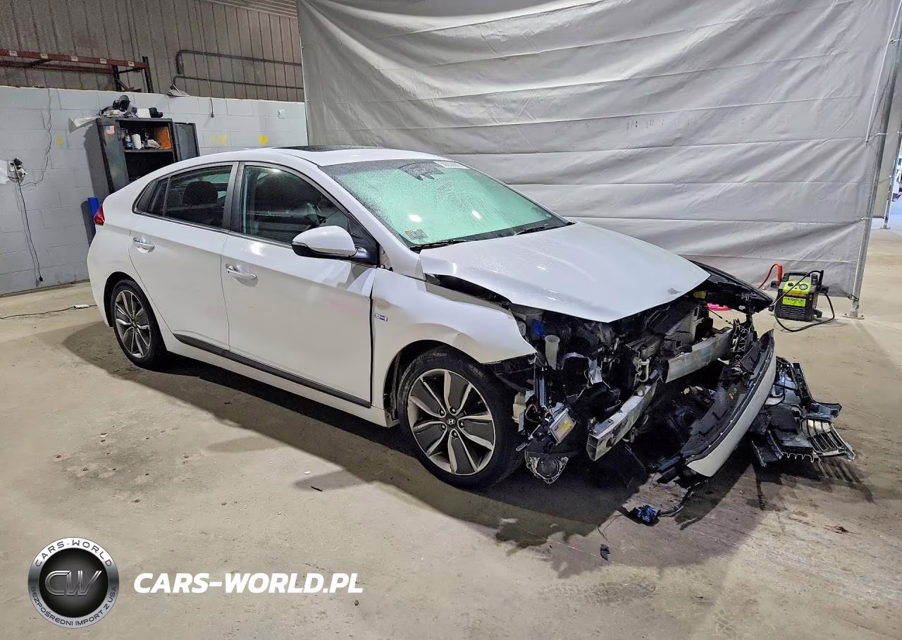 2018 Hyundai Ioniq Limited VIN:KMHC05LC0JU090644 - 4