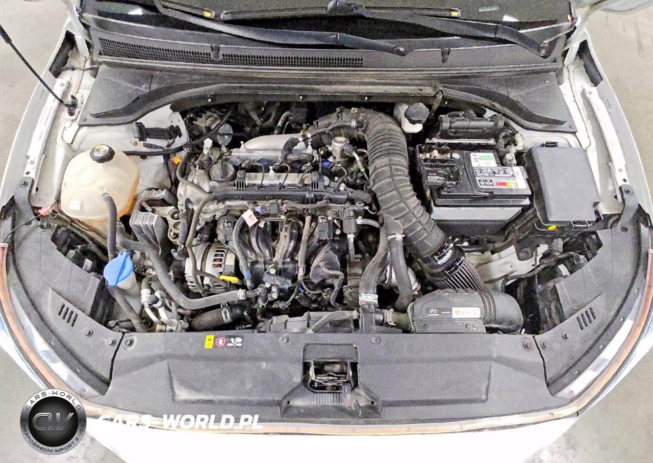 2019 Hyundai Veloster Turbo Ultimate VIN:KMHTH6AB3KU015883 - 11