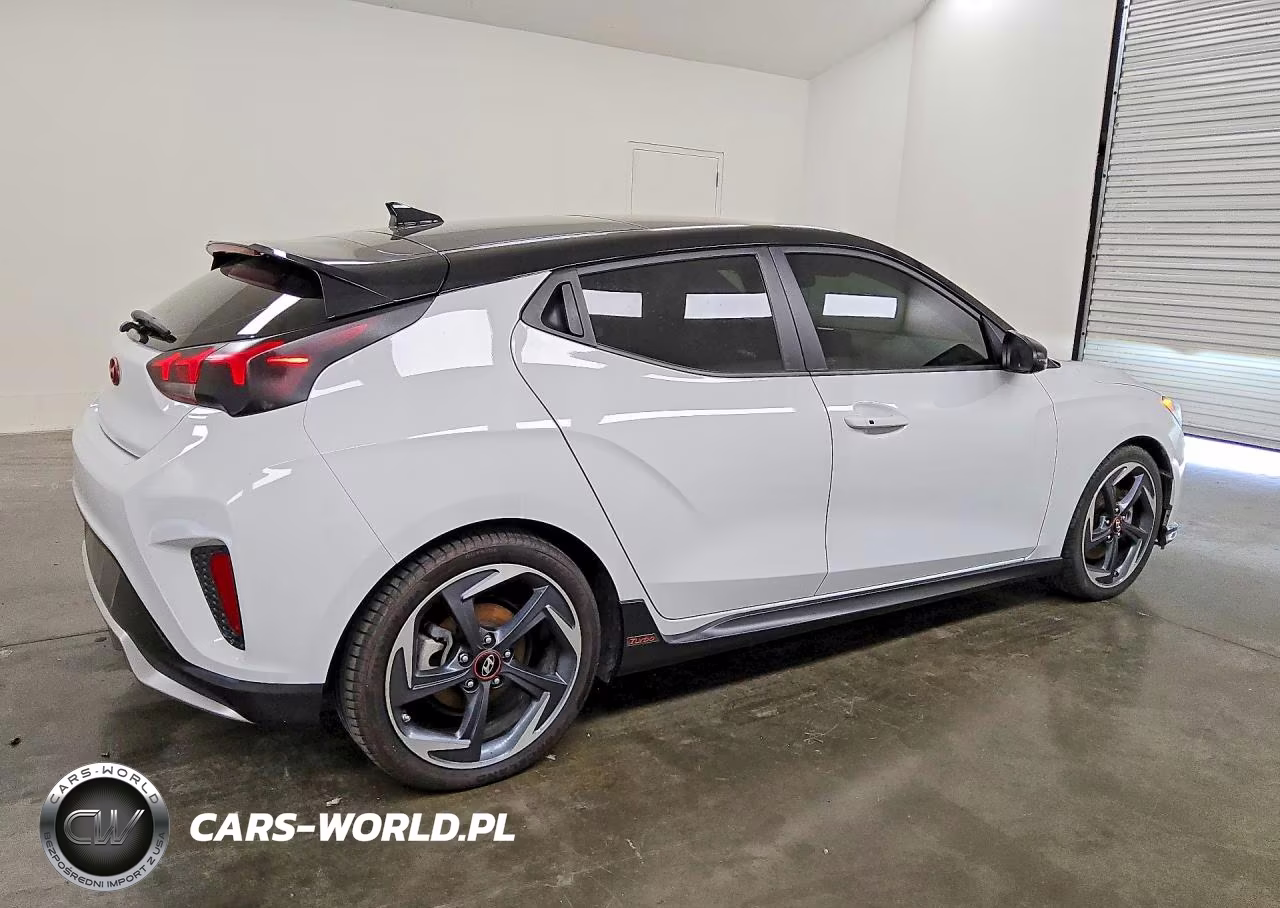 2019 Hyundai Veloster Turbo Ultimate VIN:KMHTH6AB3KU015883 - 3