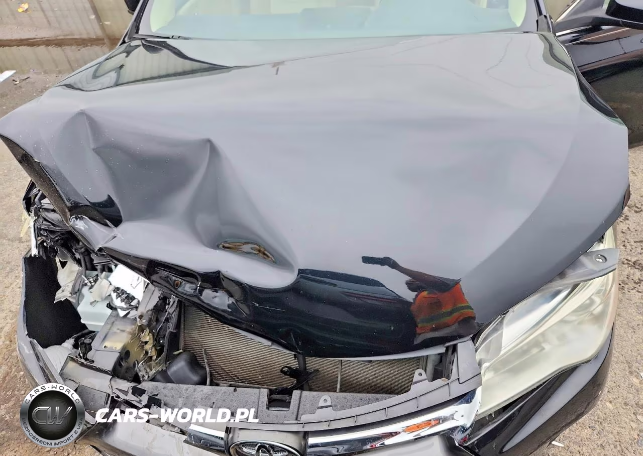 2016 Toyota Camry Le VIN:4T4BF1FK9GR520658 - 11