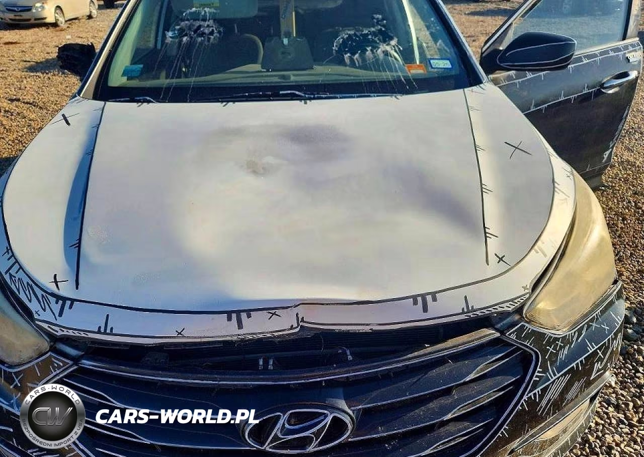 2017 Hyundai Santa Fe Sport 2.4L VIN:5XYZU3LB2HG398506 - 12