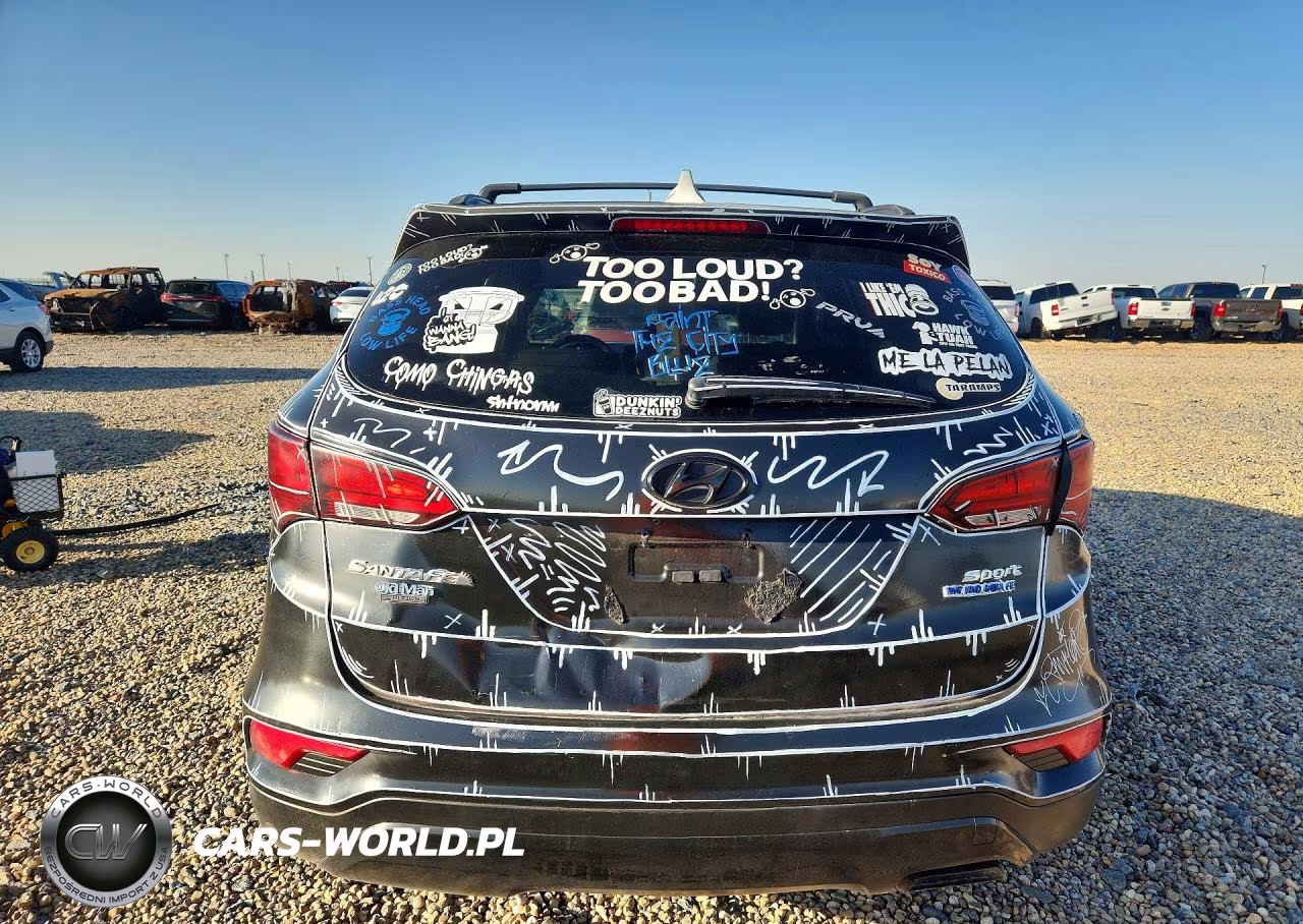 2017 Hyundai Santa Fe Sport 2.4L VIN:5XYZU3LB2HG398506 - 6