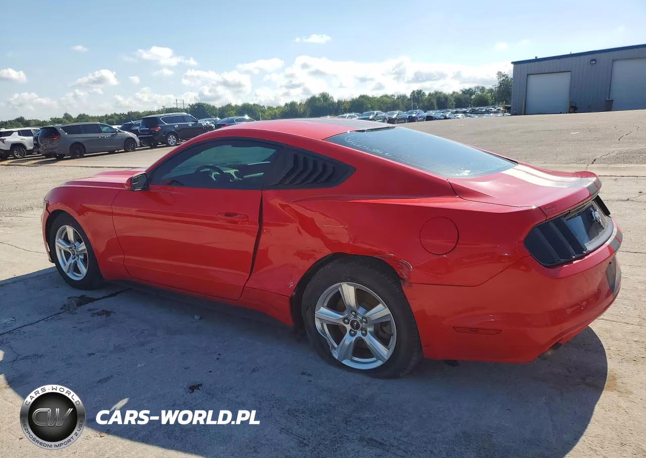 2015 Ford Mustang VIN:1FA6P8AM5F5303699 - 2