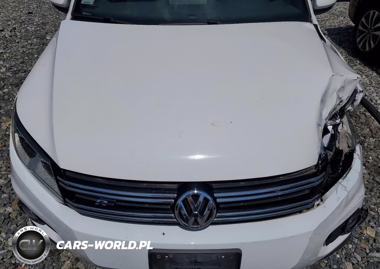 2016 Volkswagen Tiguan VIN:WVGBV7AX2GW609107 - 12