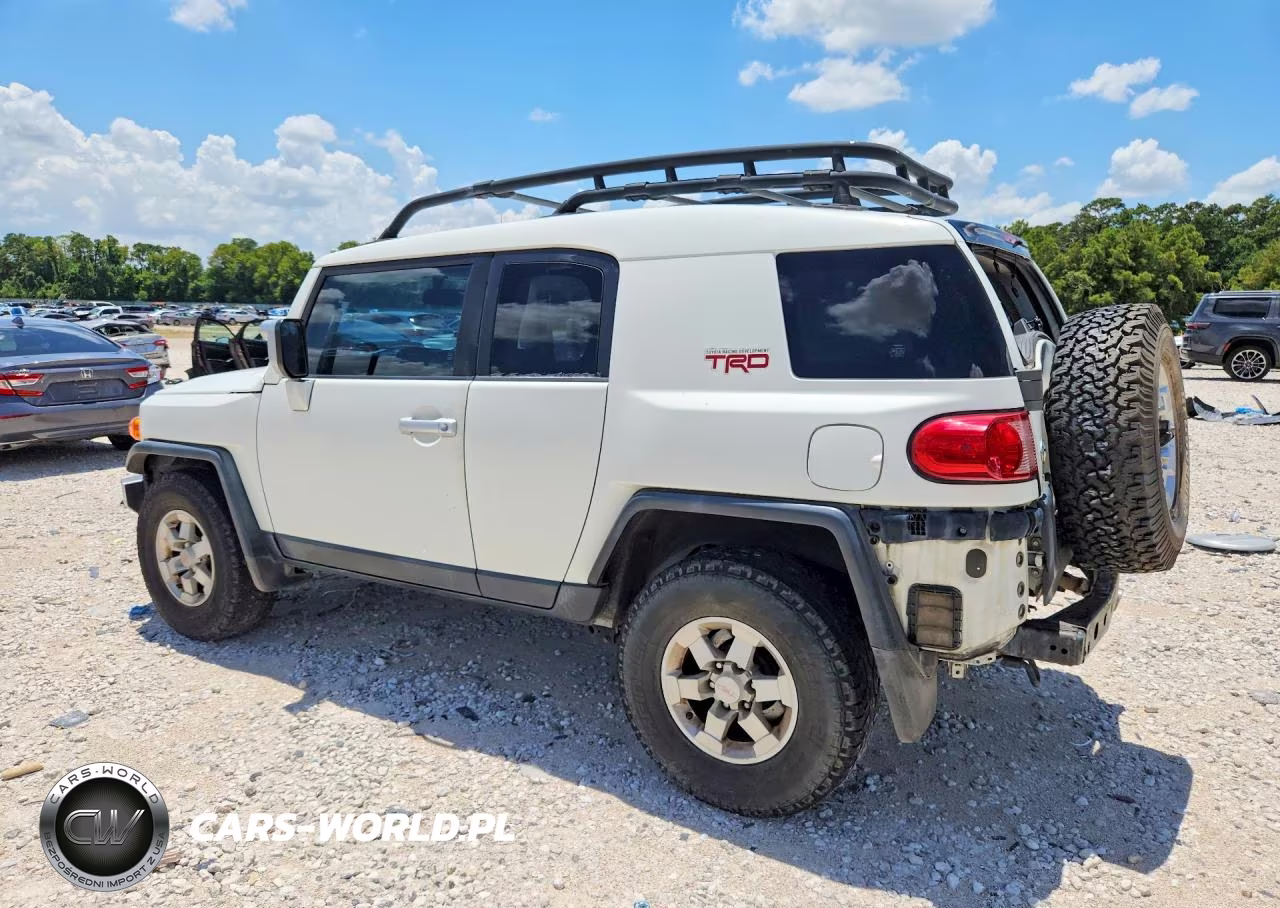 2010 Toyota Fj Cruiser Base VIN:JTEZU4BF3AK010754 - 2