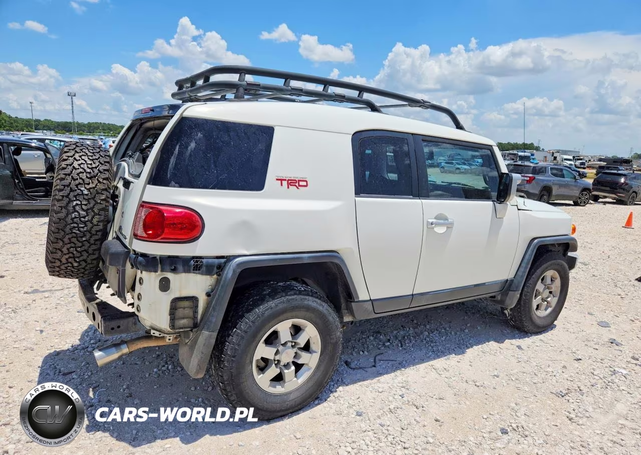 2010 Toyota Fj Cruiser Base VIN:JTEZU4BF3AK010754 - 3