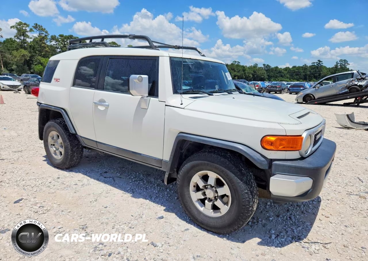 2010 Toyota Fj Cruiser Base VIN:JTEZU4BF3AK010754 - 4