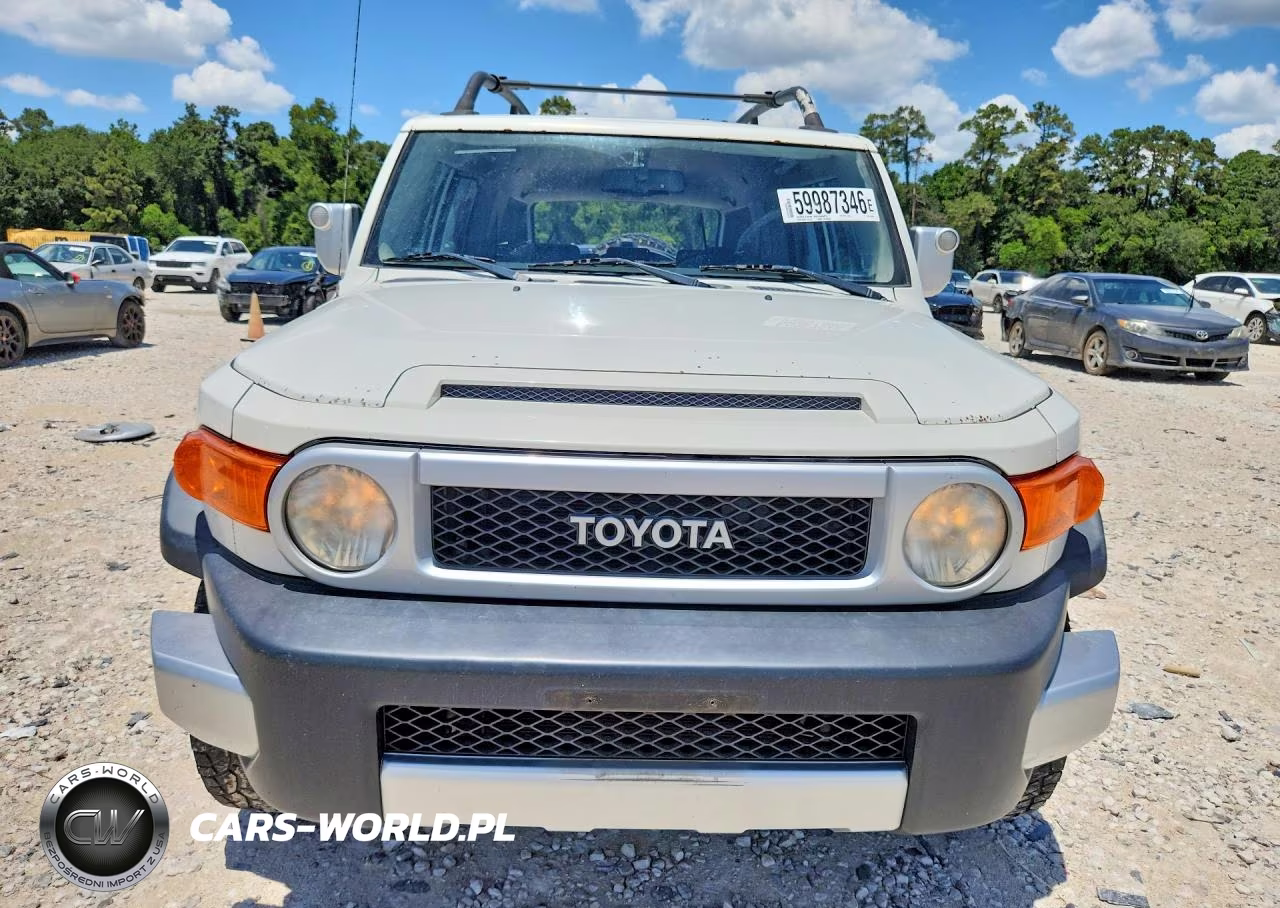 2010 Toyota Fj Cruiser Base VIN:JTEZU4BF3AK010754 - 5