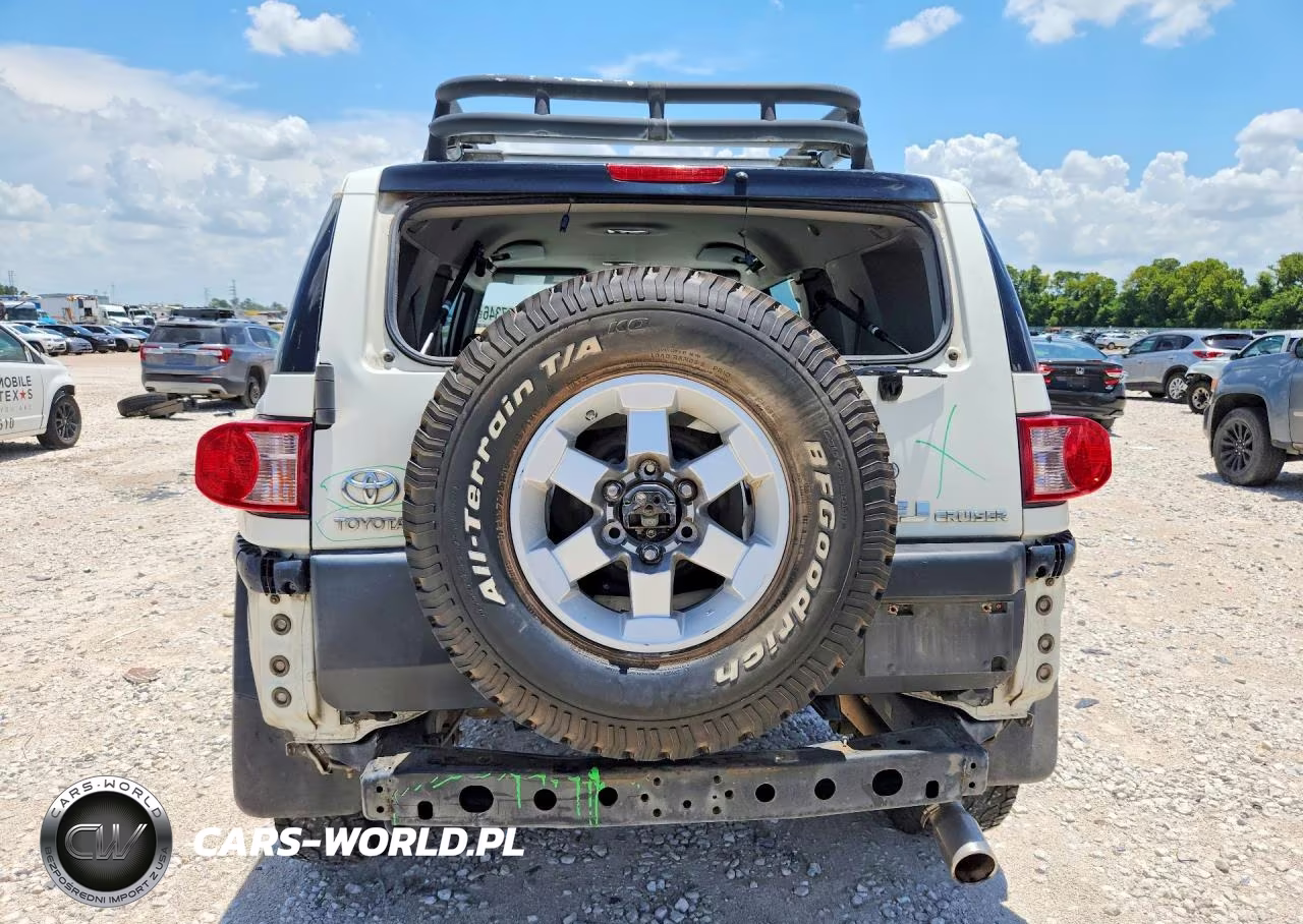 2010 Toyota Fj Cruiser Base VIN:JTEZU4BF3AK010754 - 6