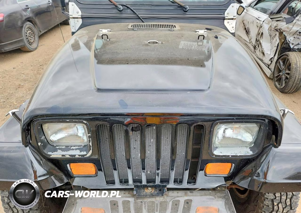 1993 Jeep Wrangler - Yj S VIN:1J4FY19P0PP215768 - 11