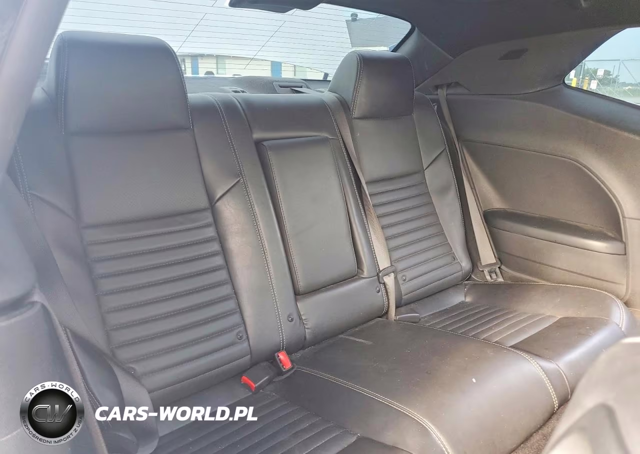2014 Dodge Challenger Sxt VIN:2C3CDYAG7EH209755 - 10