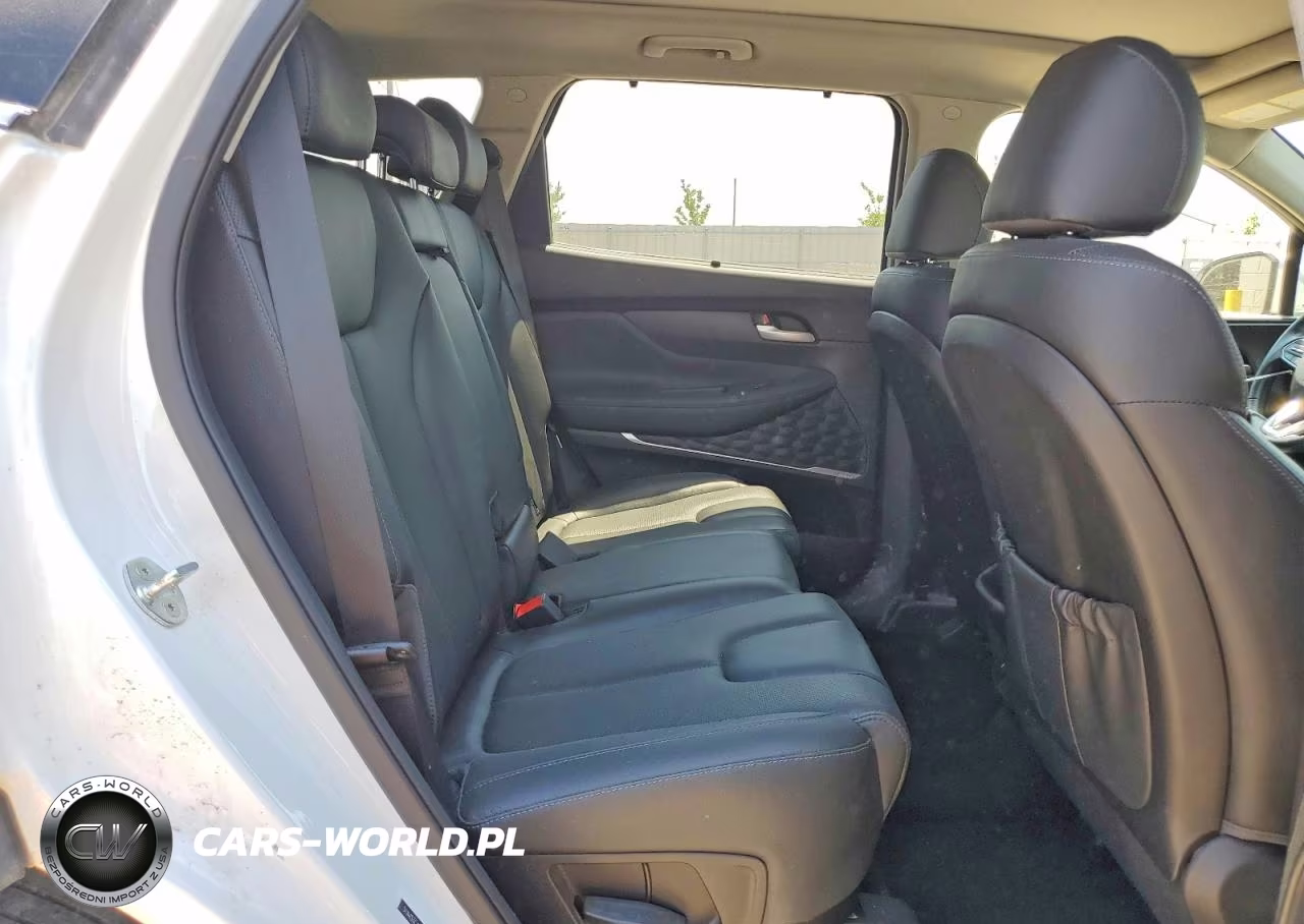 2020 Hyundai Santa Fe Sel 2.0T VIN:5NMS3CAAXLH298392 - 11