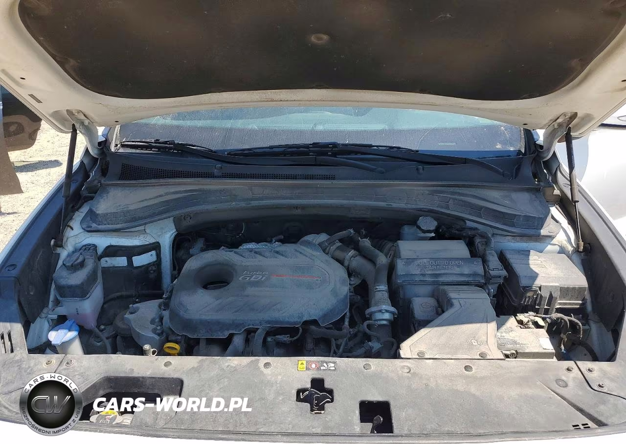 2020 Hyundai Santa Fe Sel 2.0T VIN:5NMS3CAAXLH298392 - 12