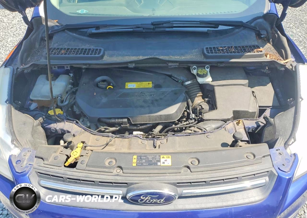 2014 Ford Escape Se VIN:1FMCU0GX9EUC04652 - 12