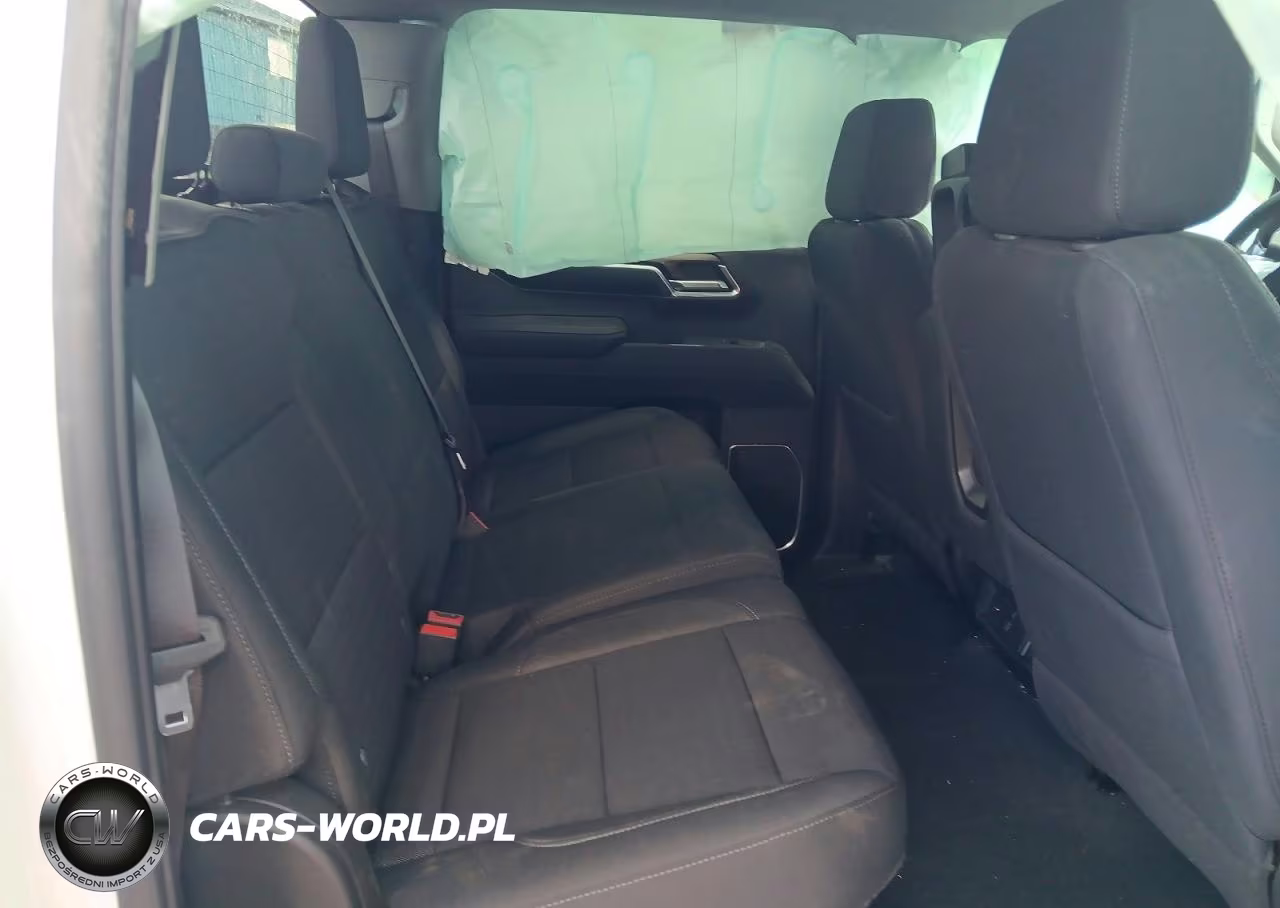 2023 Chevrolet Silverado K1500 Lt VIN:1GCUDDED9PZ264753 - 10