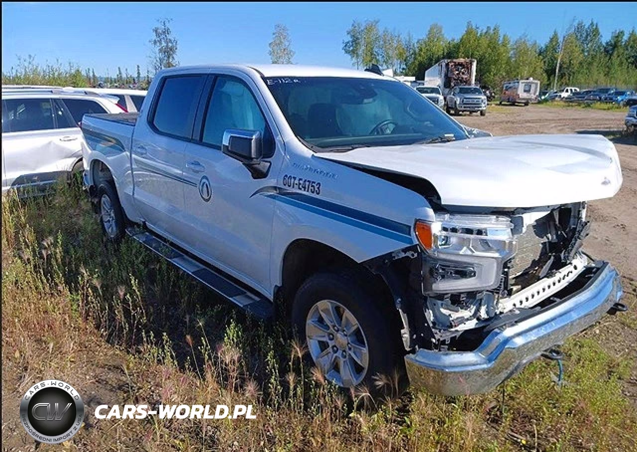 2023 Chevrolet Silverado K1500 Lt VIN:1GCUDDED9PZ264753 - 4