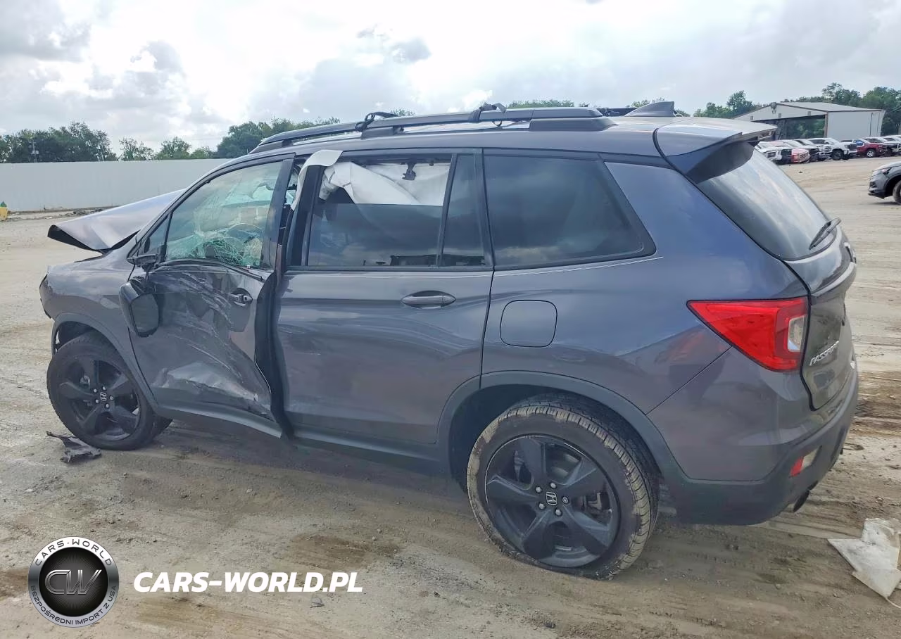 2019 Honda Passport Elite VIN:5FNYF8H03KB006478 - 2