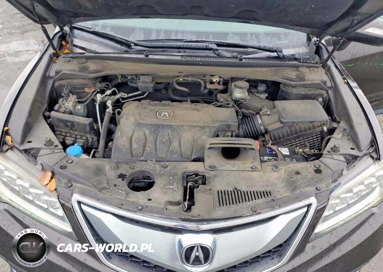 2016 Acura Rdx Advance VIN:5J8TB4H7XGL001182 - 11