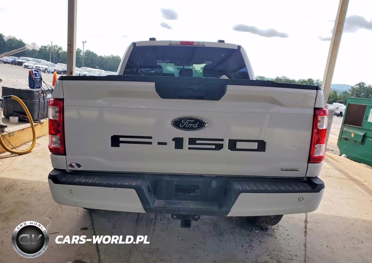 2023 Ford F150 Supercrew VIN:1FTEW1EPXPKE97878 - 6
