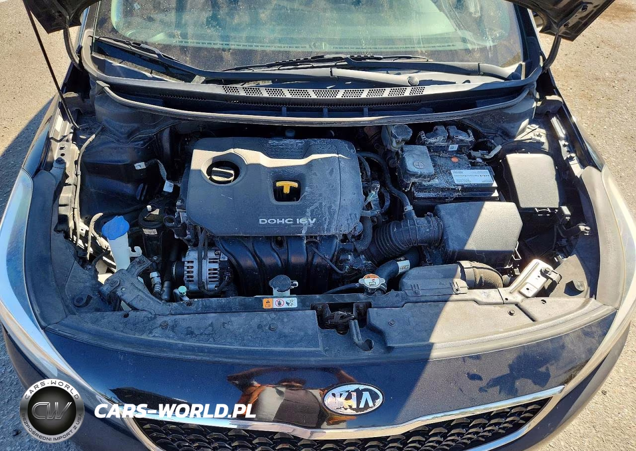2018 Kia Forte Lx VIN:3KPFL4A73JE212324 - 11