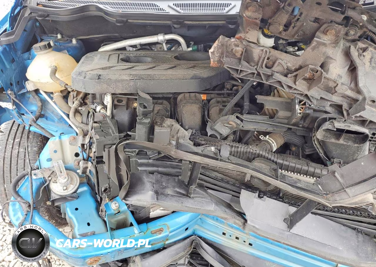 2019 Ford Ecosport Se VIN:MAJ6S3GL3KC252788 - 12