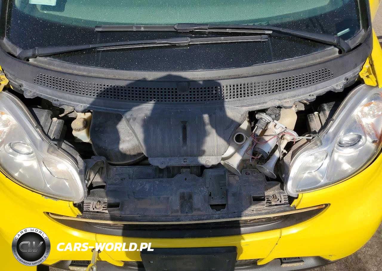 2010 Smart Fortwo Pure VIN:WMEEJ3BA0AK385352 - 11