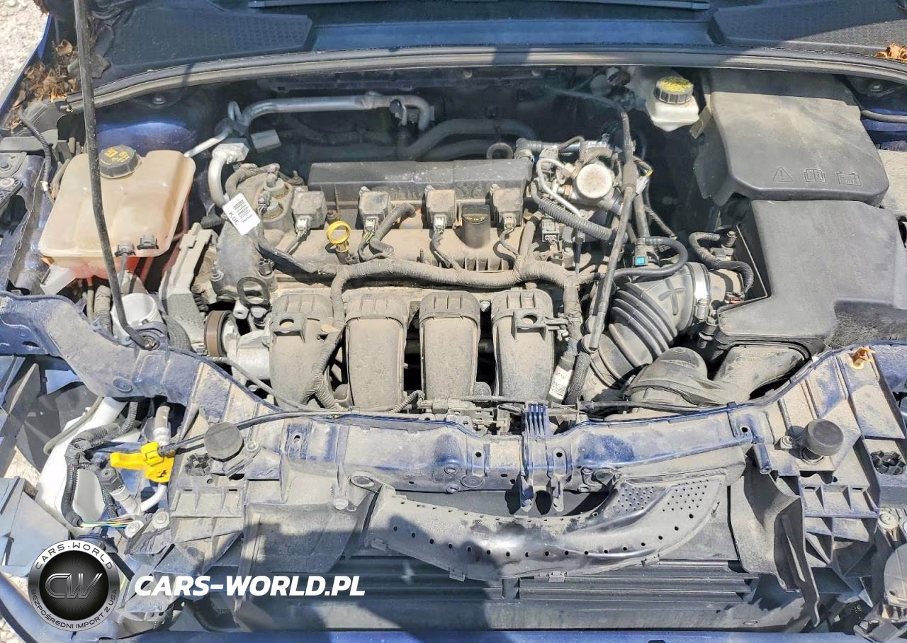2017 Ford Focus Sel VIN:1FADP3M2XHL263395 - 11