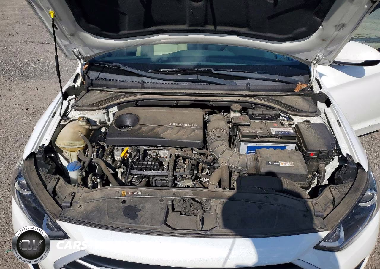 2018 Hyundai Elantra Eco VIN:5NPD94LA1JH370722 - 11