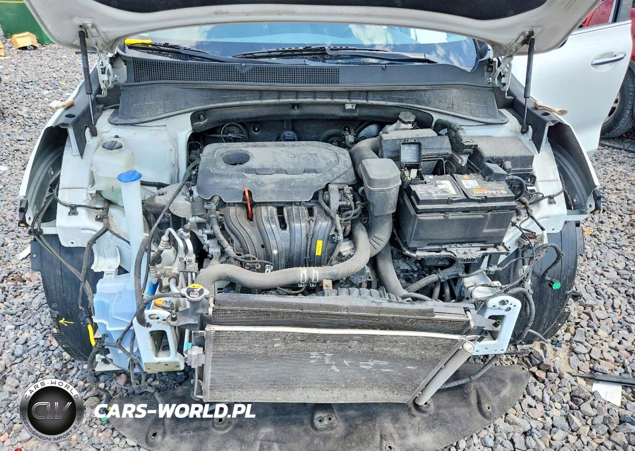 2019 Kia Sorento VIN:5XYPG4A39KG611037 - 11