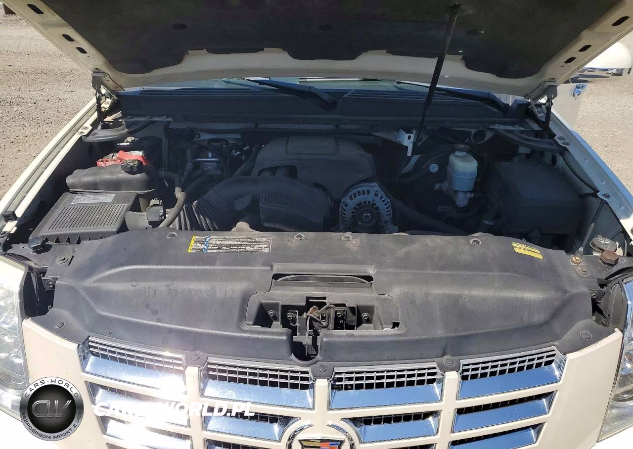2009 Cadillac Escalade Esv Luxury VIN:1GYFK26299R206428 - 12