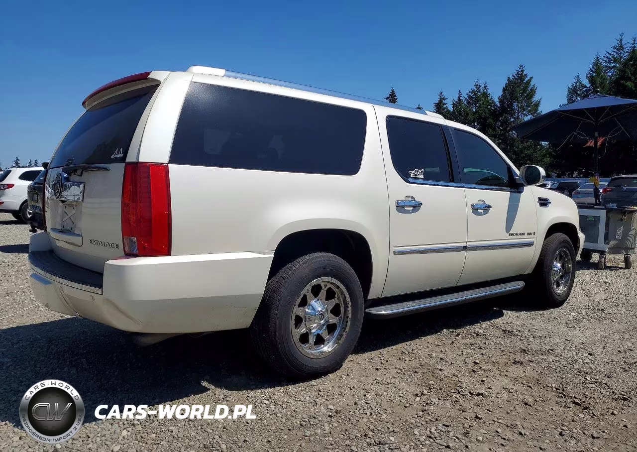 2009 Cadillac Escalade Esv Luxury VIN:1GYFK26299R206428 - 3