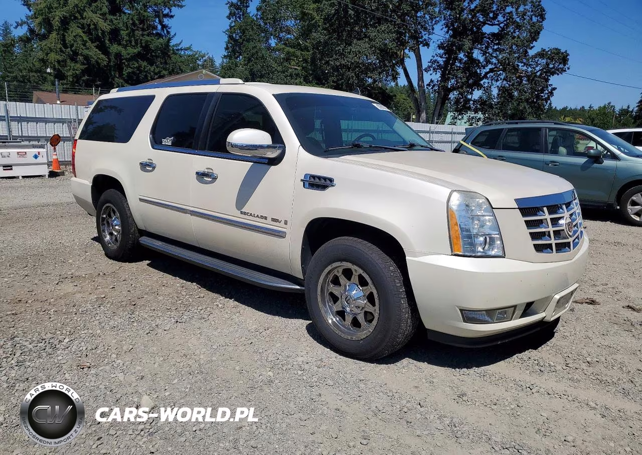 2009 Cadillac Escalade Esv Luxury VIN:1GYFK26299R206428 - 4