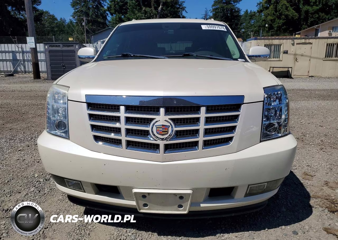 2009 Cadillac Escalade Esv Luxury VIN:1GYFK26299R206428 - 5