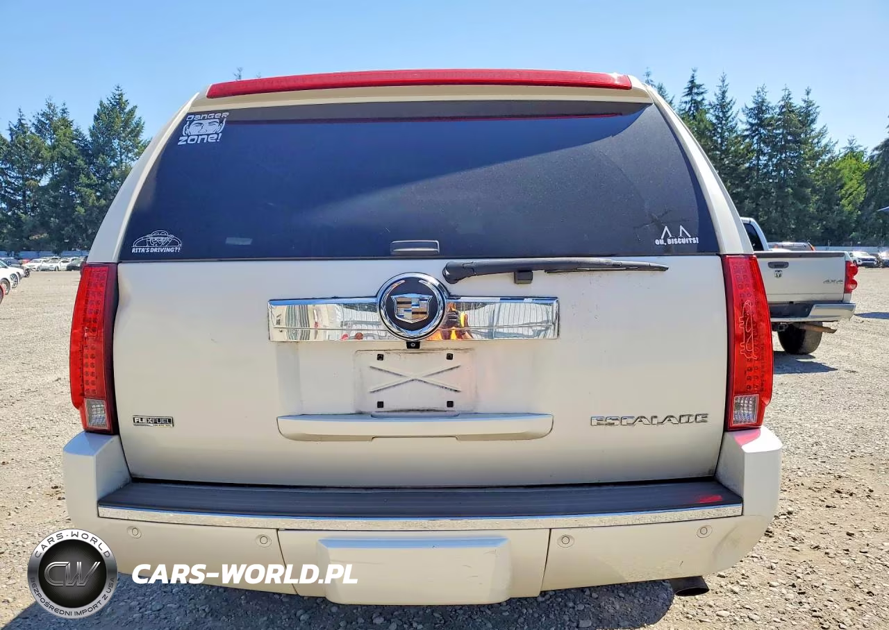 2009 Cadillac Escalade Esv Luxury VIN:1GYFK26299R206428 - 6