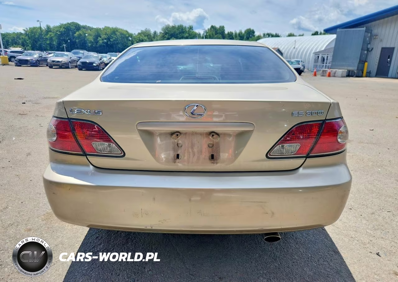 2003 Lexus Es 300 VIN:JTHBF30G230144559 - 6