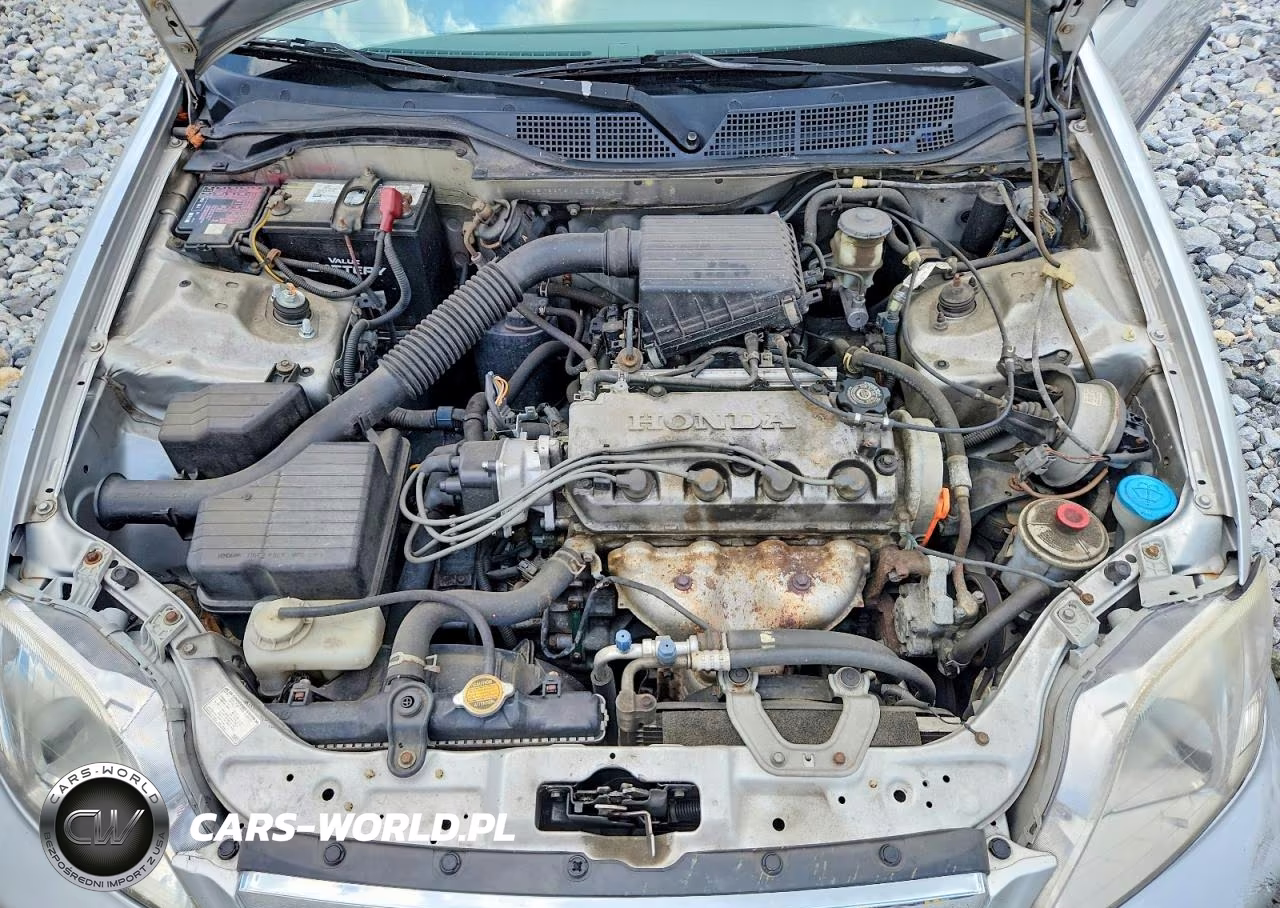 1999 Honda Civic Lx VIN:1HGEJ6679XL053431 - 11