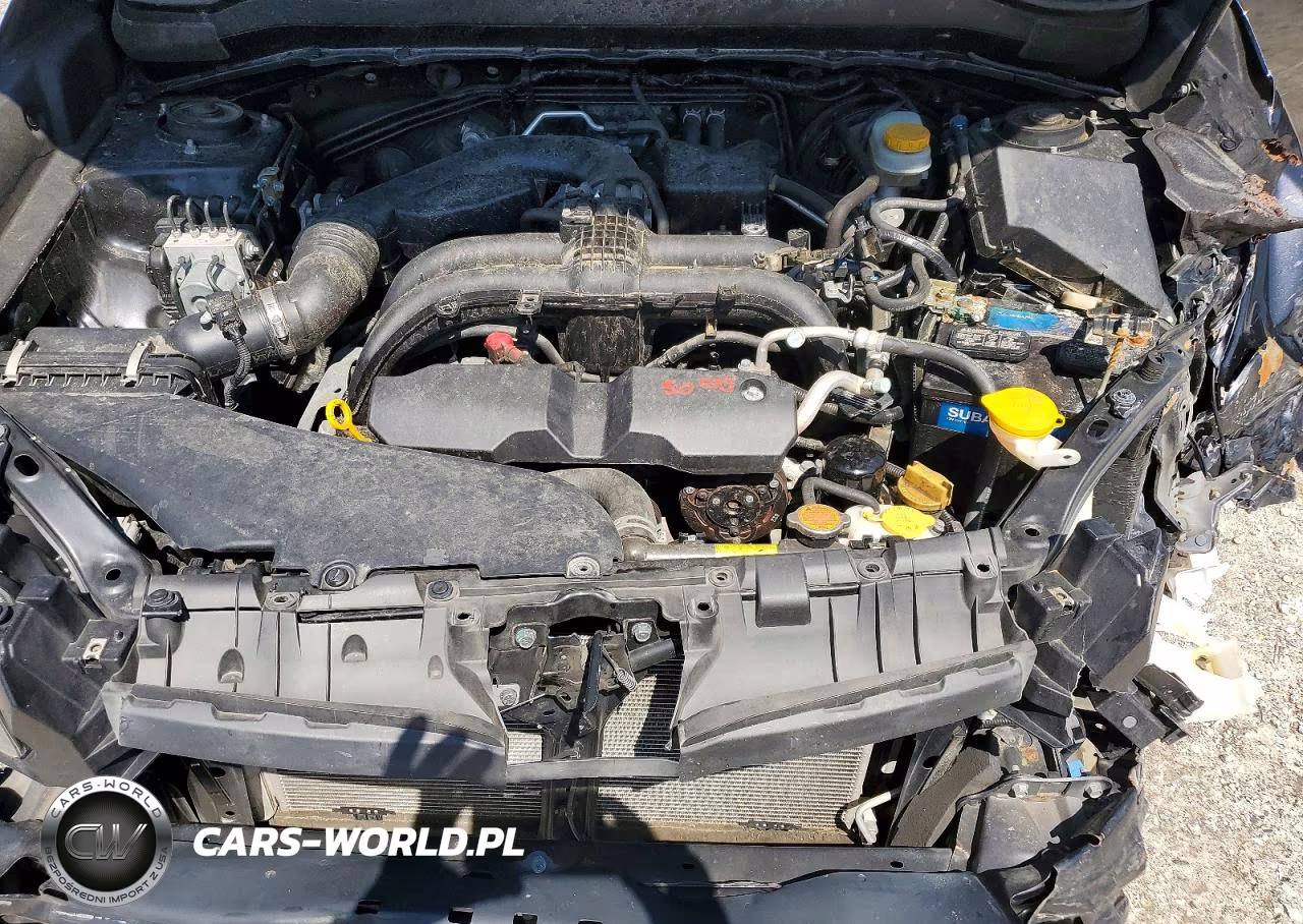 2018 Subaru Forester 2.5I VIN:JF2SJABC1JH563033 - 12
