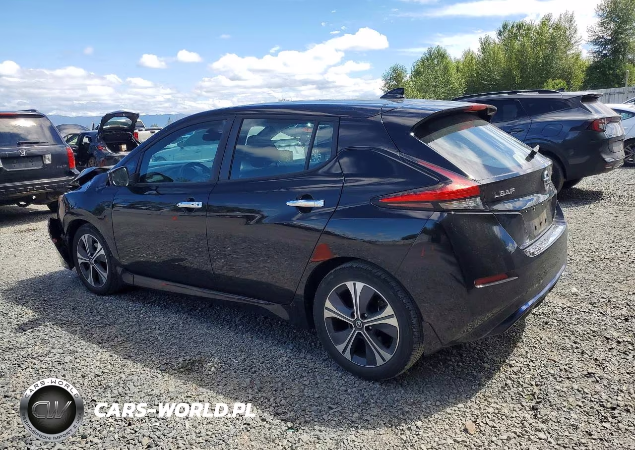 2020 Nissan Leaf Sv VIN:1N4AZ1CP1LC305038 - 2