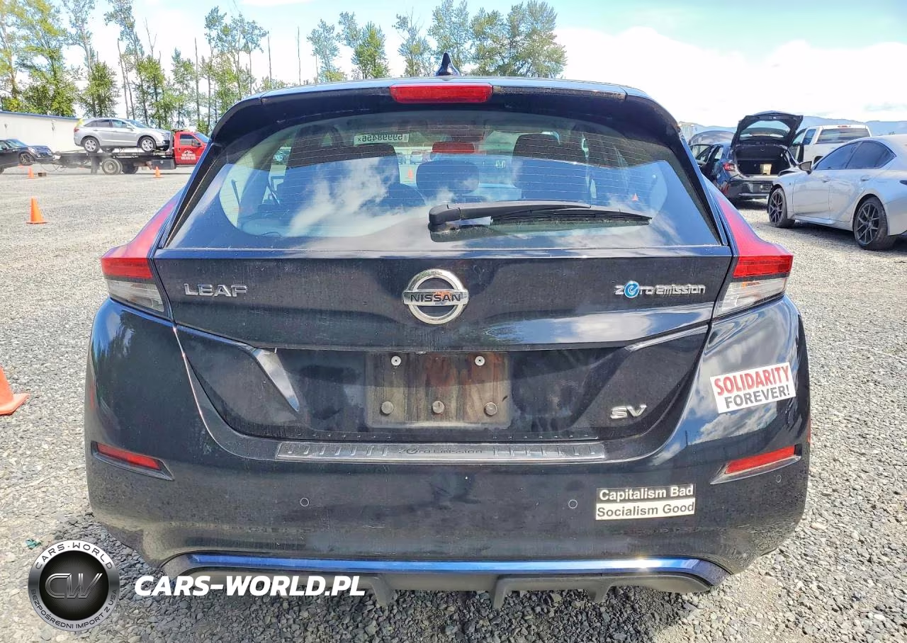2020 Nissan Leaf Sv VIN:1N4AZ1CP1LC305038 - 6