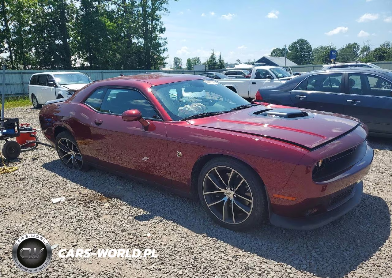 2017 Dodge Challenger R-T 392 VIN:2C3CDZFJ4HH665419 - 4