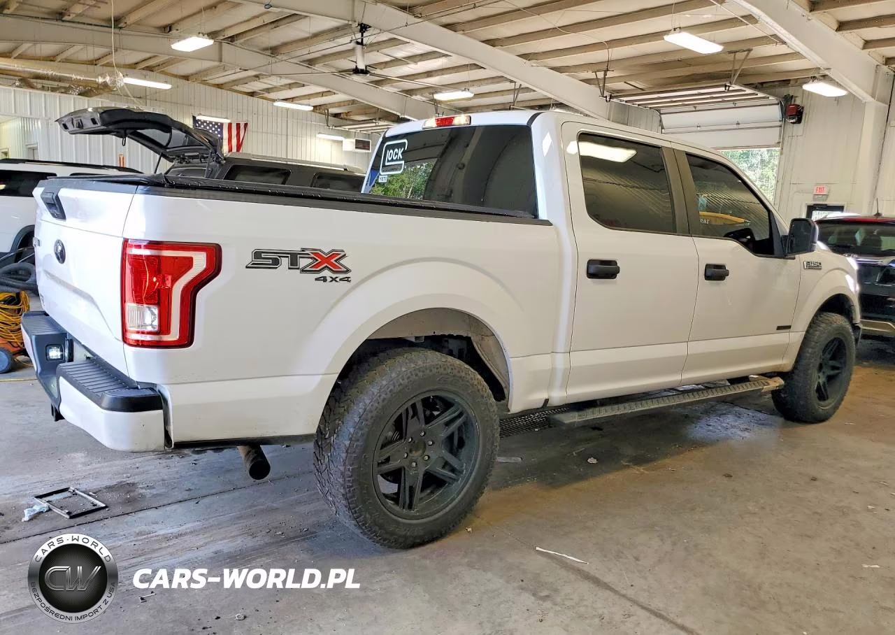2017 Ford F150 Supercrew VIN:1FTEW1EP6HKD54279 - 3
