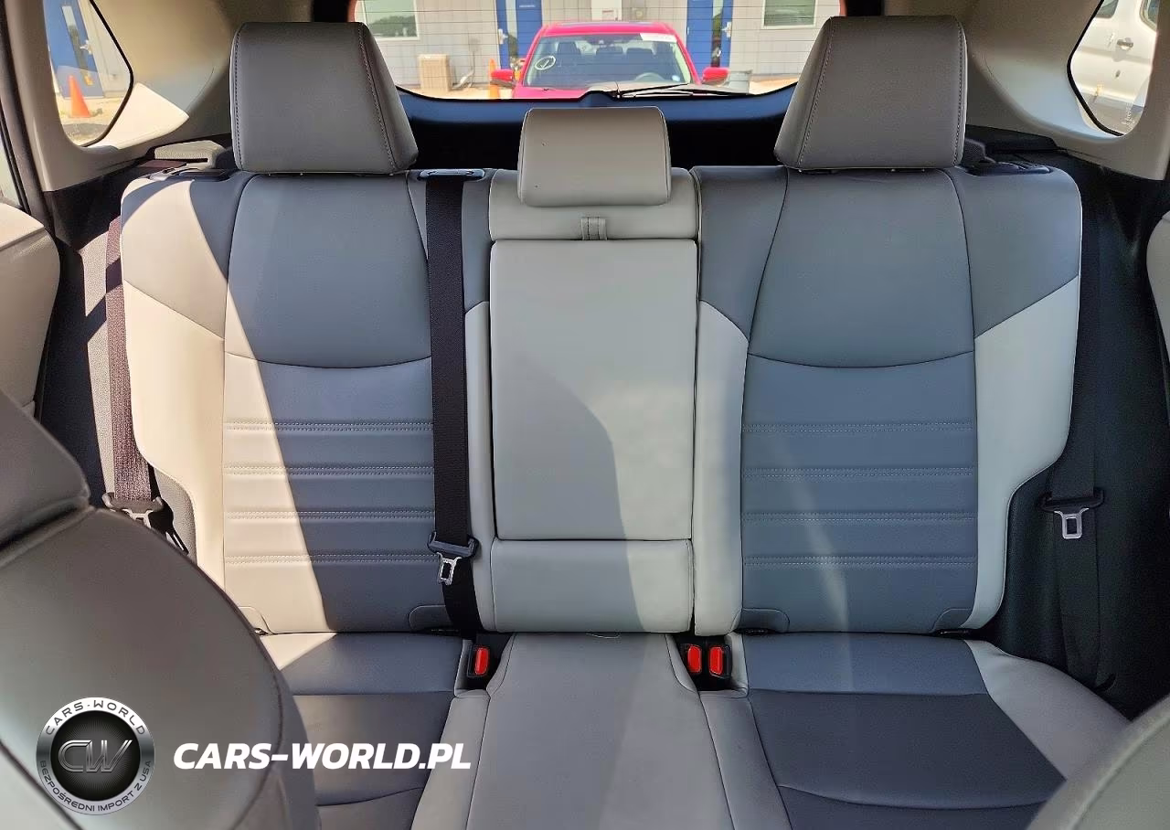 2019 Toyota Rav4 Xle Premium VIN:JTMA1RFV0KD511258 - 10