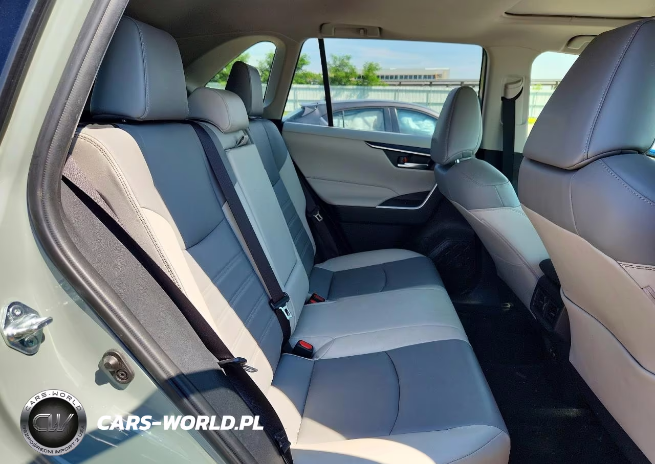 2019 Toyota Rav4 Xle Premium VIN:JTMA1RFV0KD511258 - 11