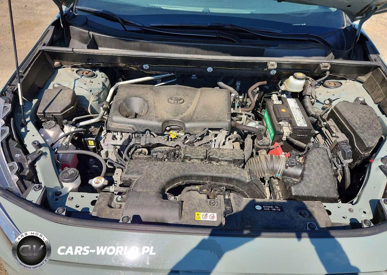 2019 Toyota Rav4 Xle Premium VIN:JTMA1RFV0KD511258 - 12