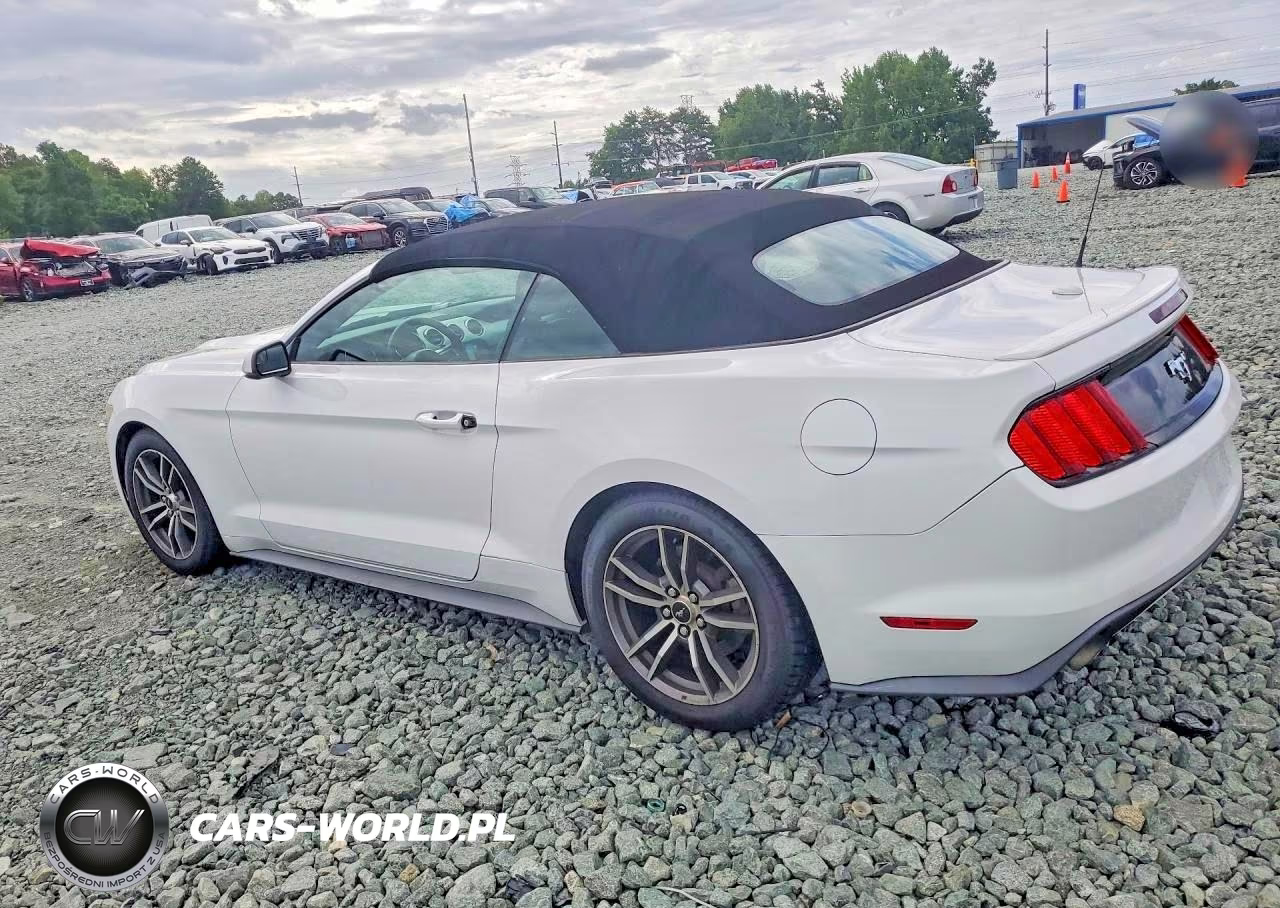 2017 Ford Mustang VIN:1FATP8UH6H5220514 - 2