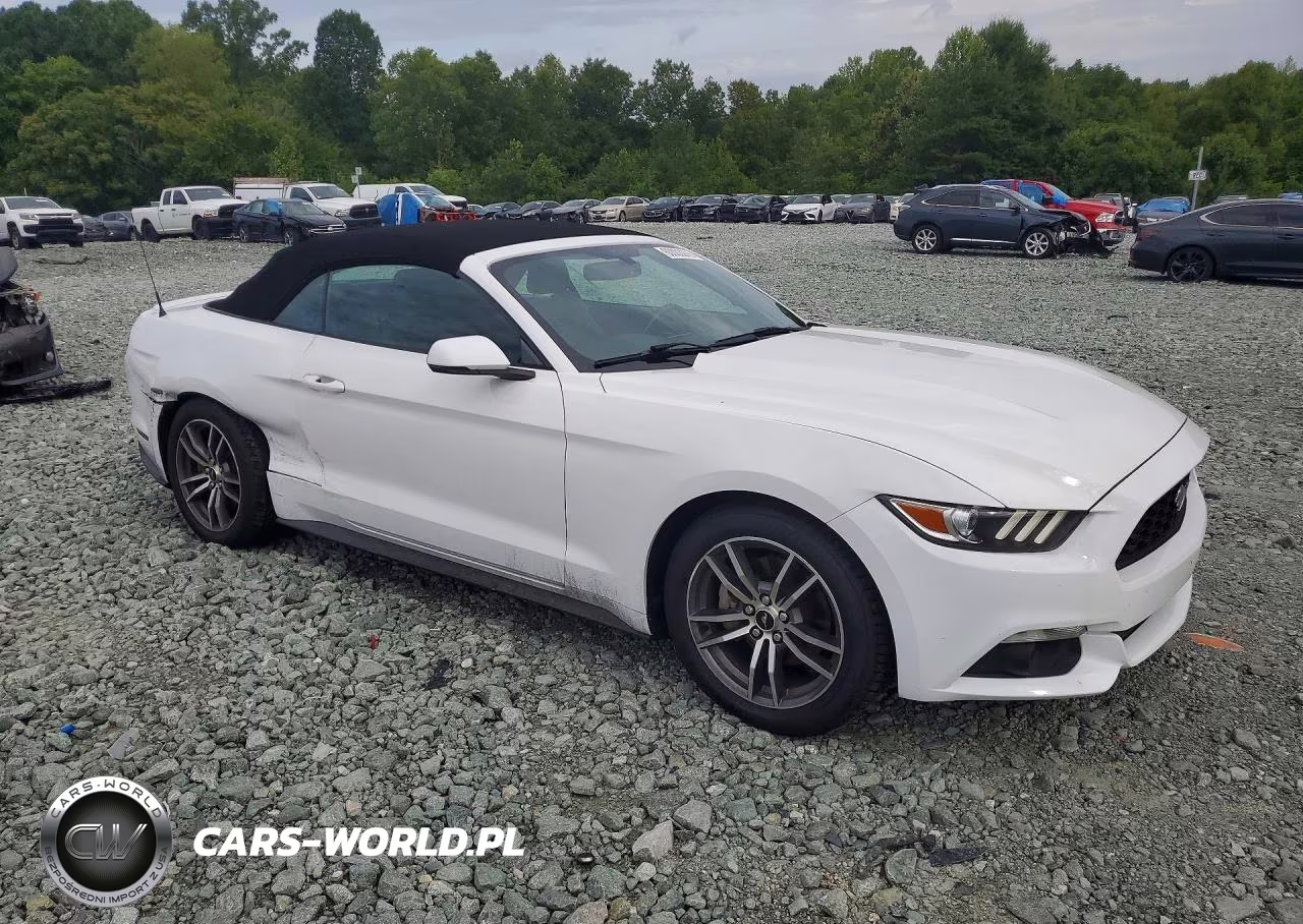2017 Ford Mustang VIN:1FATP8UH6H5220514 - 4