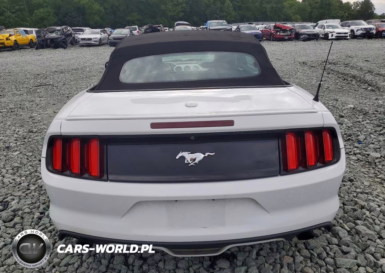 2017 Ford Mustang VIN:1FATP8UH6H5220514 - 6