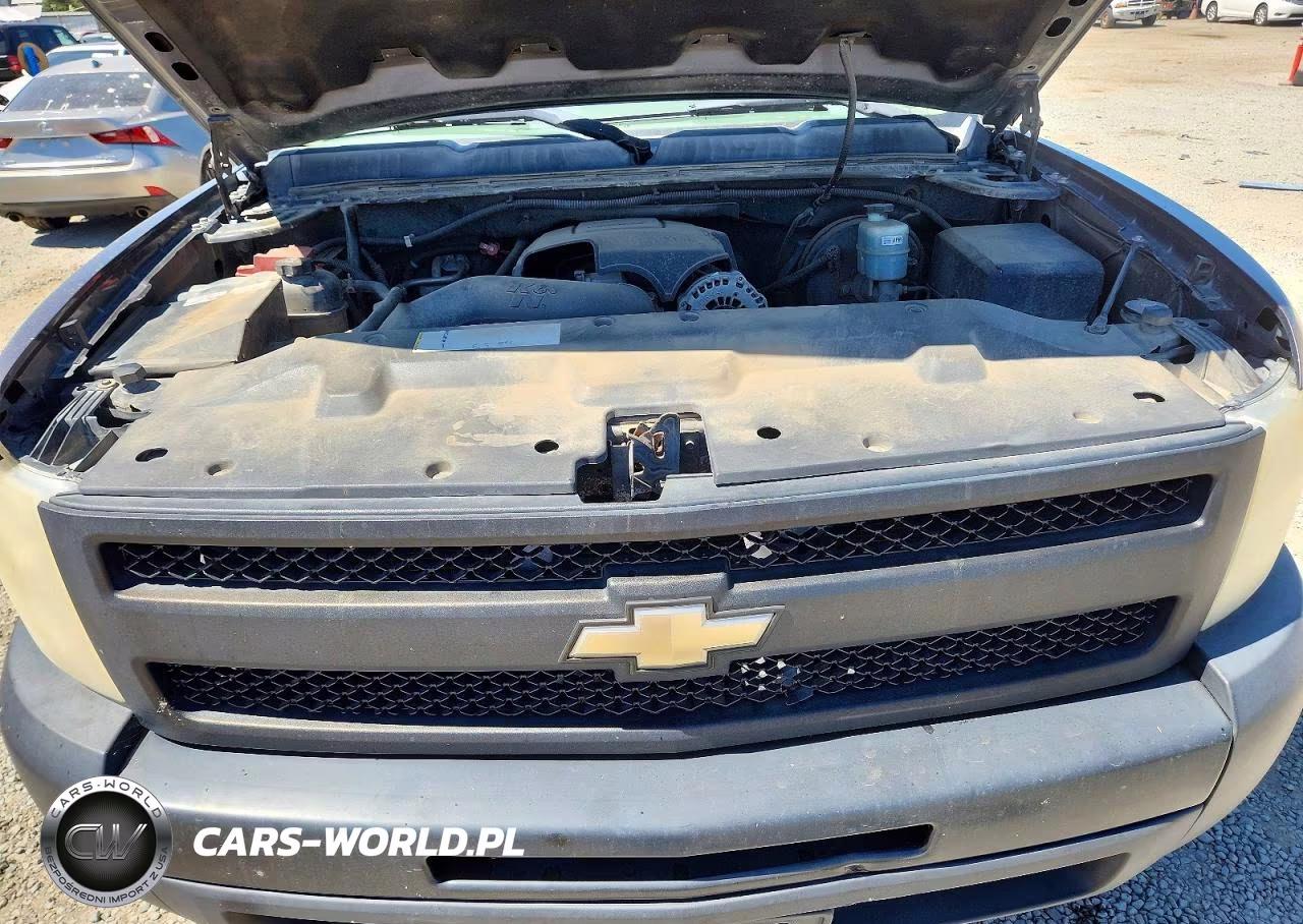 2010 Chevrolet Silverado C1500 VIN:3GCRCPEA2AG262947 - 11